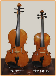 viola-violin.jpg